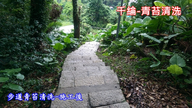 千綸-步道青苔清洗